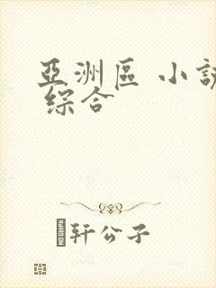 亚洲区 小说区 综合