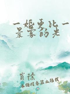 一婚更比一婚高 晨雾的光