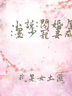 小说:闪婚厚爱:墨少宠妻成瘾