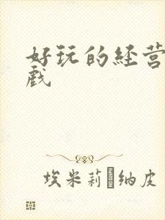 好玩的经营类游戏