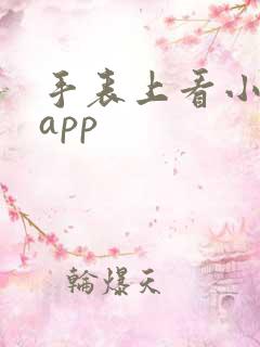 手表上看小说的app