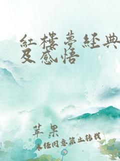 红楼梦经典语段及感悟