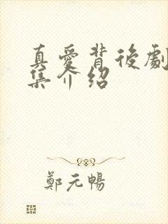 真爱背后剧情分集介绍