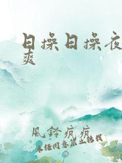 日操日操夜爽夜爽