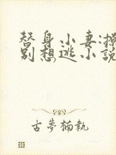 替身小妻:撩完别想逃小说大结局