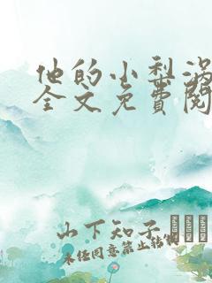 他的小梨涡小说全文免费阅读 他的小梨涡小说全文免费阅读