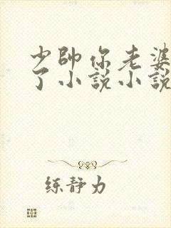 少帅你老婆又跑了小说小说