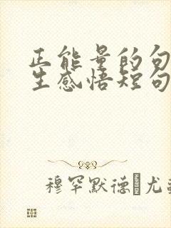 正能量的句子人生感悟短句