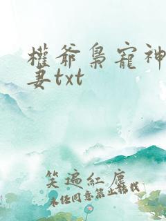 权爷枭宠神秘娇妻txt