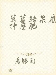 草莓结果应该施什么肥 草莓结果应该施什么肥