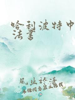 哈利波特中的魔法书