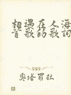 相遇在人海是哪首歌的歌词 相遇在人海是哪首歌的歌词