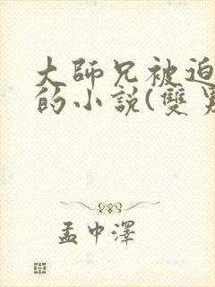 大师兄被迫承欢的小说(双男主)