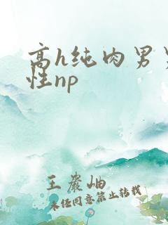 高h纯肉男男双性np