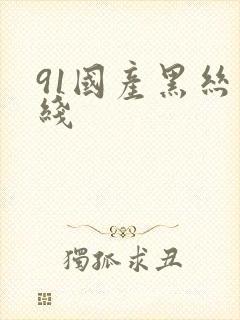 91国产黑丝在线