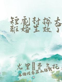 短剧封总太太的离婚生效了在线观看