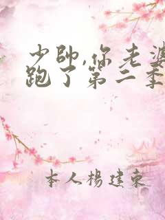少帅,你老婆又跑了第二季