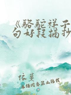 《骆驼祥子》好句好段摘抄