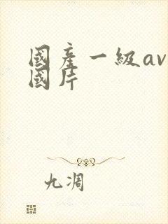 国产一级av岛国片