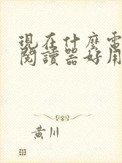 现在什么电子书阅读器好用