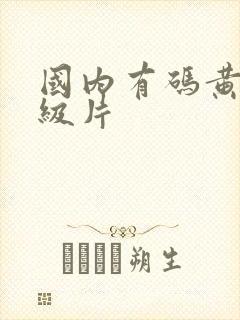 国内有码黄色一级片
