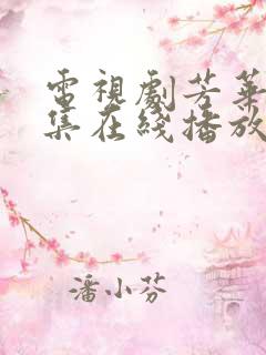 电视剧芳华40集在线播放免费观看