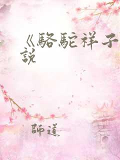 《骆驼祥子》小说