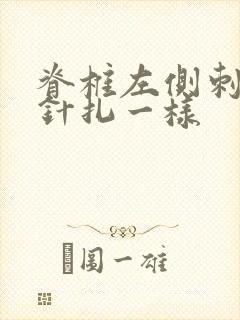 脊椎左侧刺痛感针扎一样