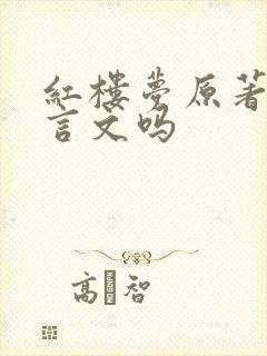 红楼梦原著是文言文吗