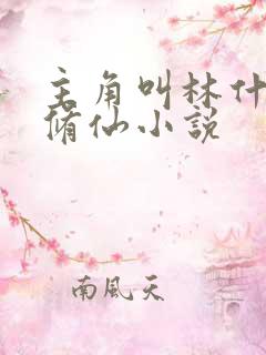 主角叫林什么的修仙小说
