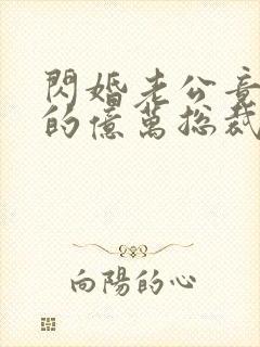 闪婚老公竟是我的亿万总裁