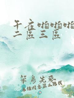 午夜啪啪啪一区二区三区