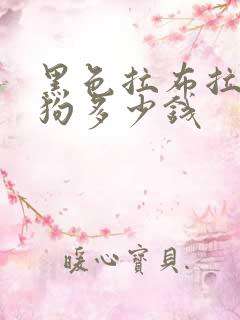 黑色拉布拉多小狗多少钱