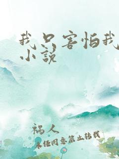 我只害怕我爱你小说