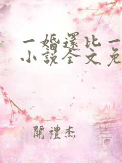 一婚还比一婚高小说全文免费阅读