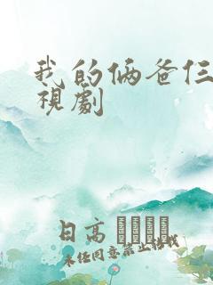 我的俩爸仨妈电视剧