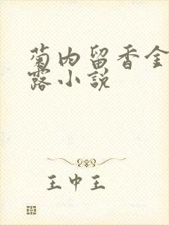 菊内留香金银花露小说