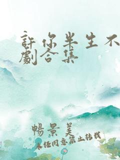 许你半生不见短剧合集