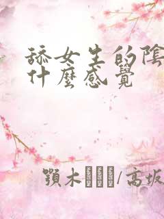 舔女生的阴道是什么感觉