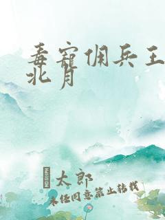 毒宠佣兵王妃君北月