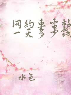 网约车电动车租一天多少钱