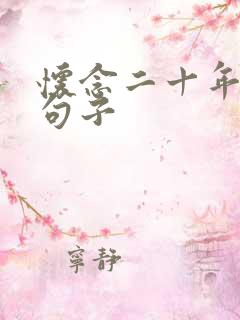 怀念二十年前的句子