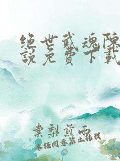 绝世武魂陈枫小说免费下载