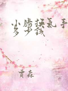 小肠换气手术要多少钱