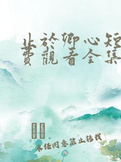 止于卿心短剧免费观看全集高清版