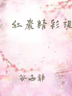 红岩精彩视频