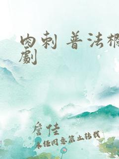 肉刺 普法栏目剧