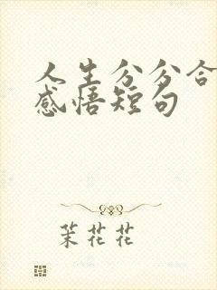 人生分分合合的感悟短句
