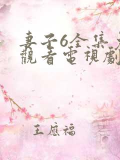 妻子6全集免费观看电视剧第11集