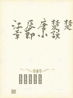 江辰唐楚楚最新章节小说
